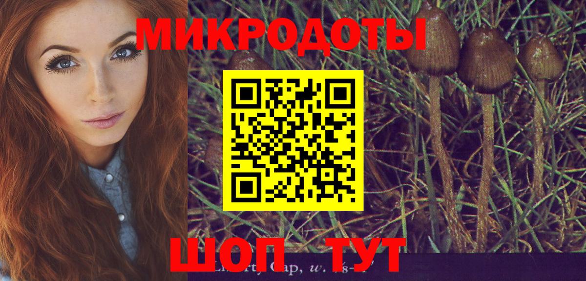 Псилоцибиновые грибы Magic Shrooms Волжский