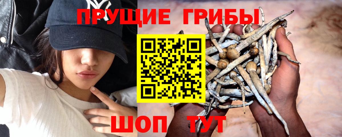 Галлюциногенные грибы прущие грибы  Галлюциногенные грибы Magic Shrooms  Волжский  Вход с VPN 